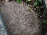 image of grave number 433343